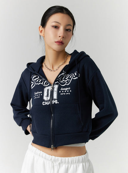 lettering-graphic-zip-up-plush-hoodie-id305