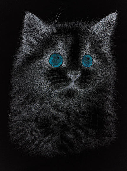 graphic-print-tee-if505