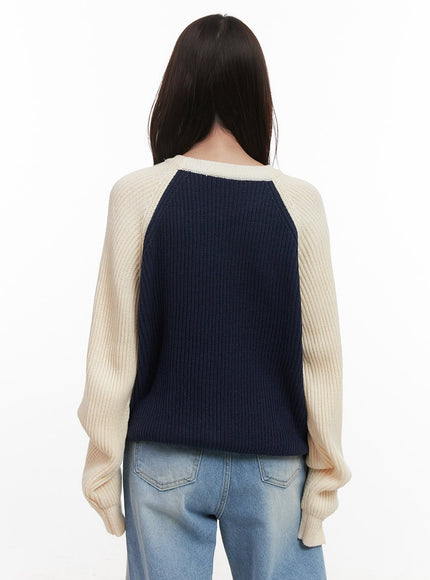 Cozy Knit Contrast Sweater CJ514