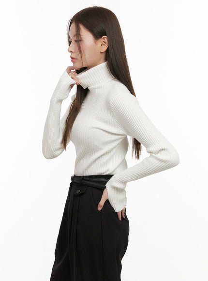 ribbed-turtle-neck-sweater-od412