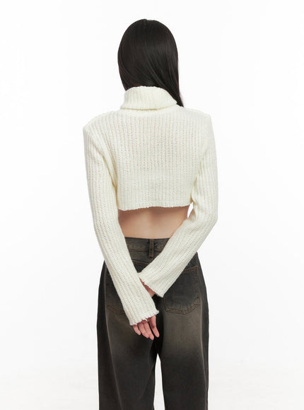 turtle-neck-cropped-sweater-cd426