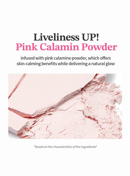 All-Day Perfect Blurring Fixing Pact (10g)