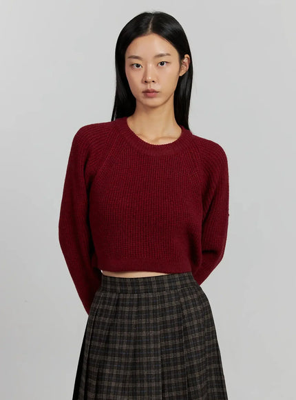 Cropped Crewneck Knit Top IJ502