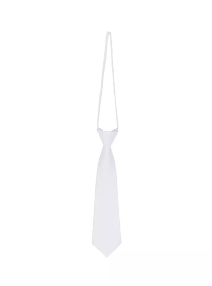 classic-solid-necktie-if505 / White