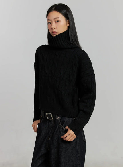 Cable Knit Turtleneck Sweater IJ502