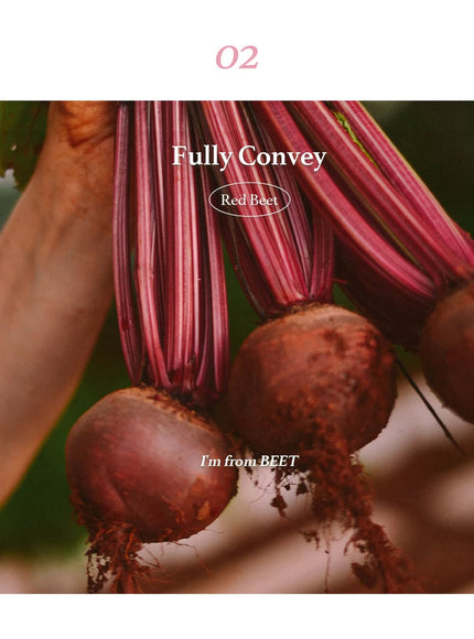 beet-refresh-pad-260ml