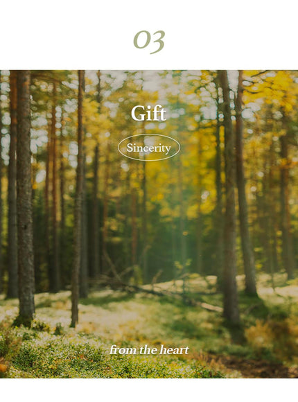 beet-refresh-pad-260ml