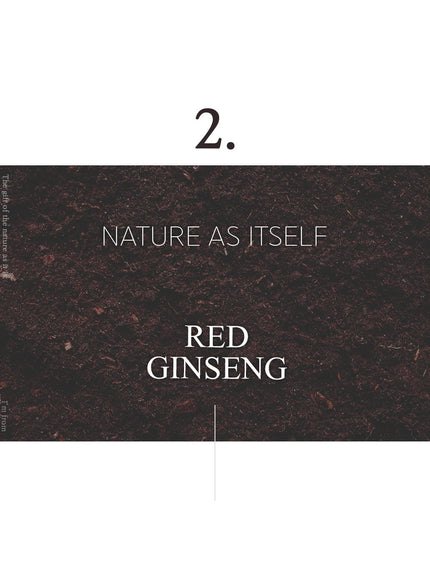 ginseng-mask-120g