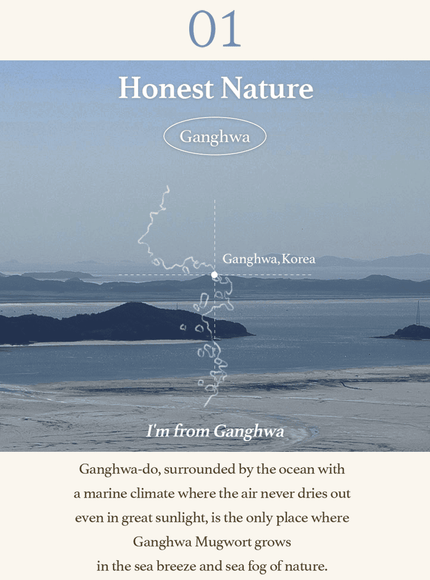 mugwort-sheet-mask-23ml-5ea