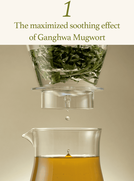 mugwort-sheet-mask-23ml-5ea