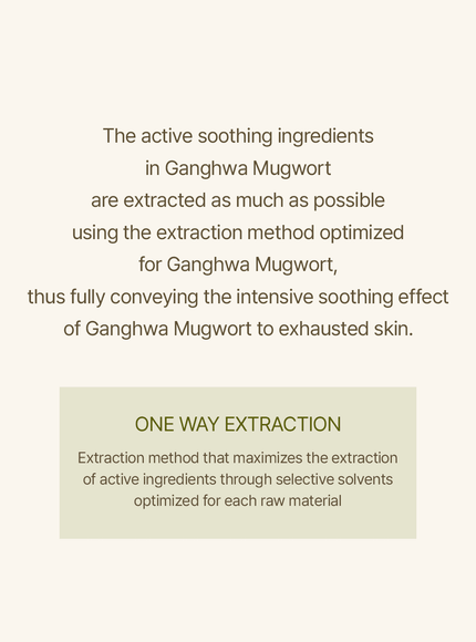 mugwort-sheet-mask-23ml-1ea