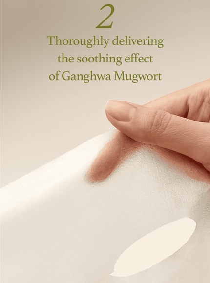 mugwort-sheet-mask-23ml-5ea