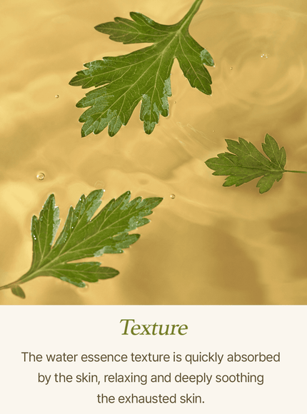 mugwort-sheet-mask-23ml-5ea