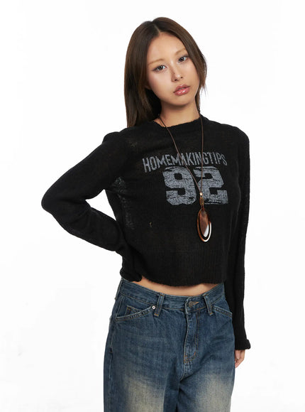 sheer-graphic-cropped-sweater-co510 / Black