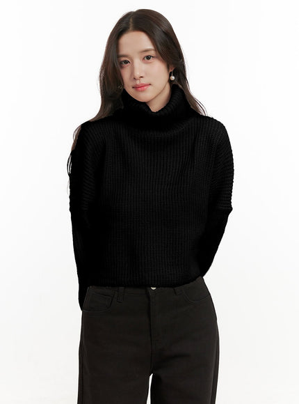 cozy-chic-crop-turtle-neck-sweater-on429 / Black