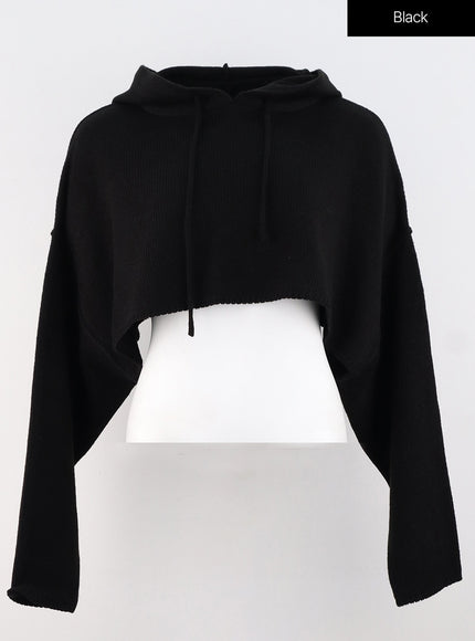 hooded-crop-knit-sweater-os315