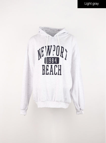 graphic-hoodie-sweatshirt-in301 / Light gray