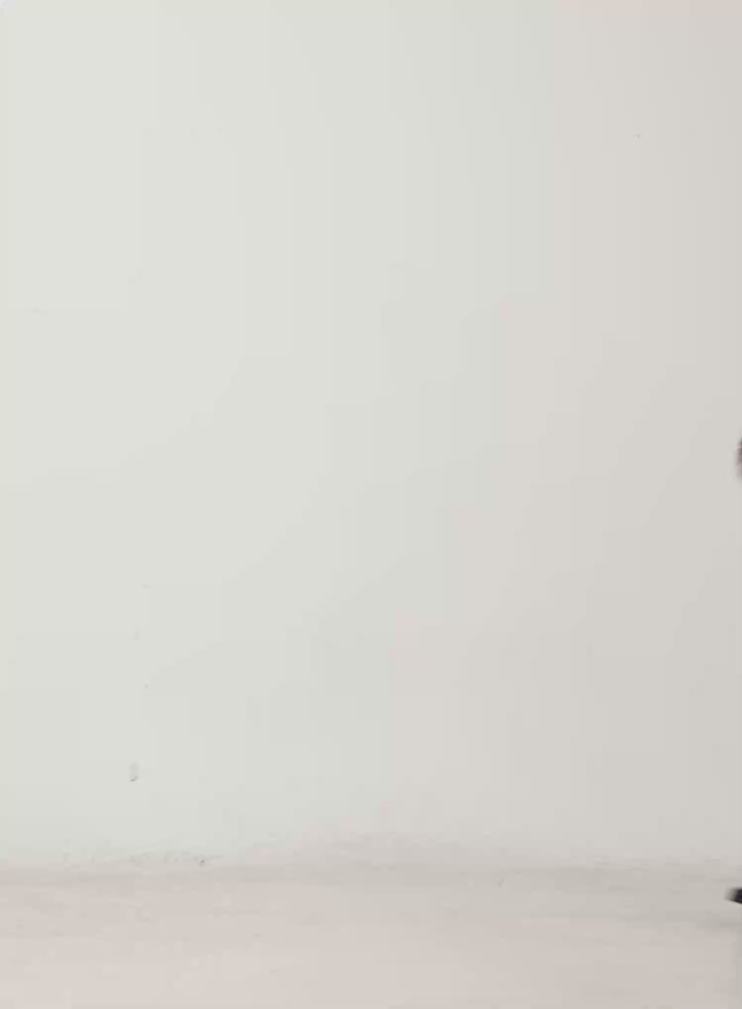 Off Shoulder Ribbon Knit Mini Dress CN527