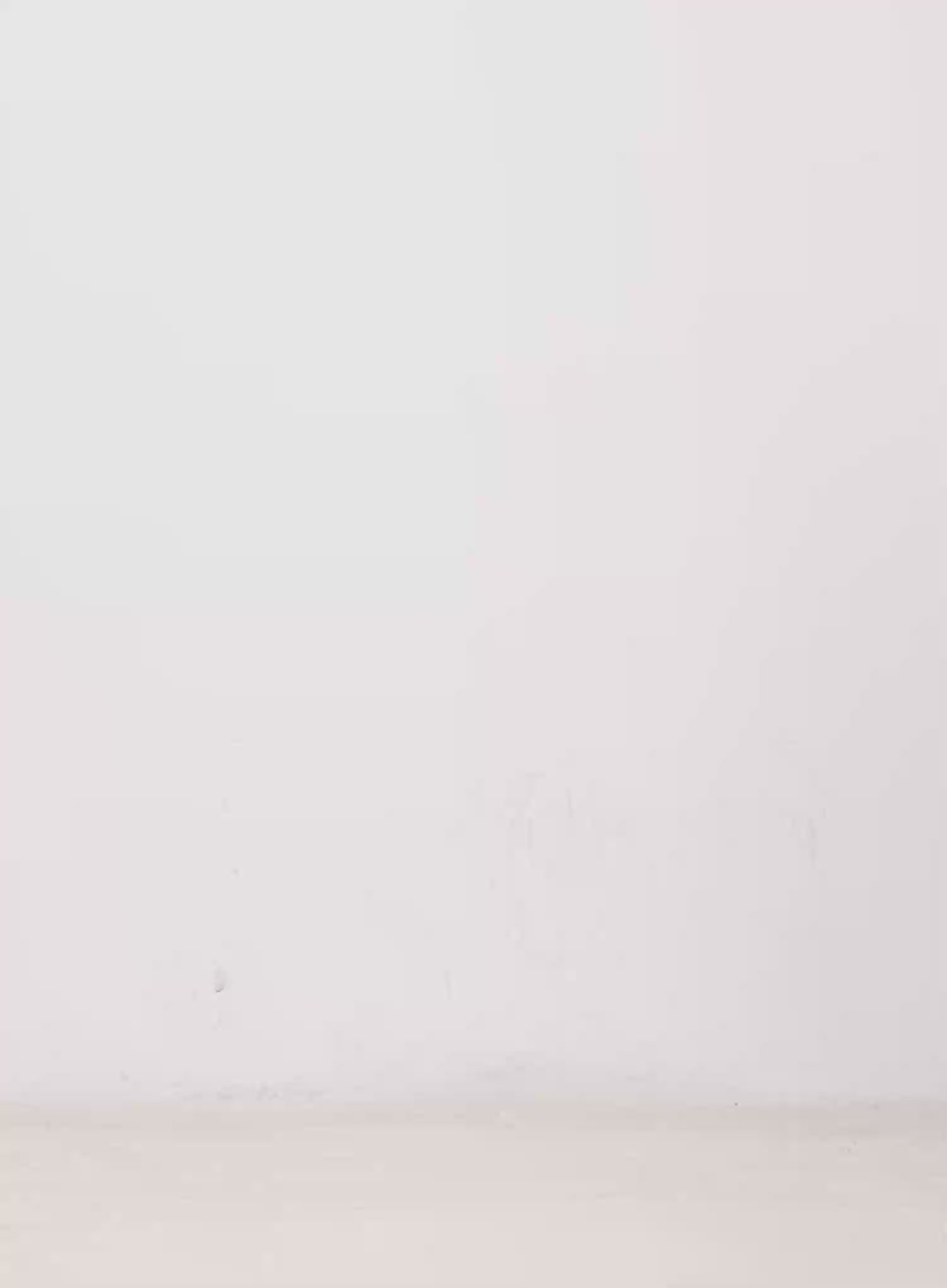 Distressed Denim Maxi Skirt IN514