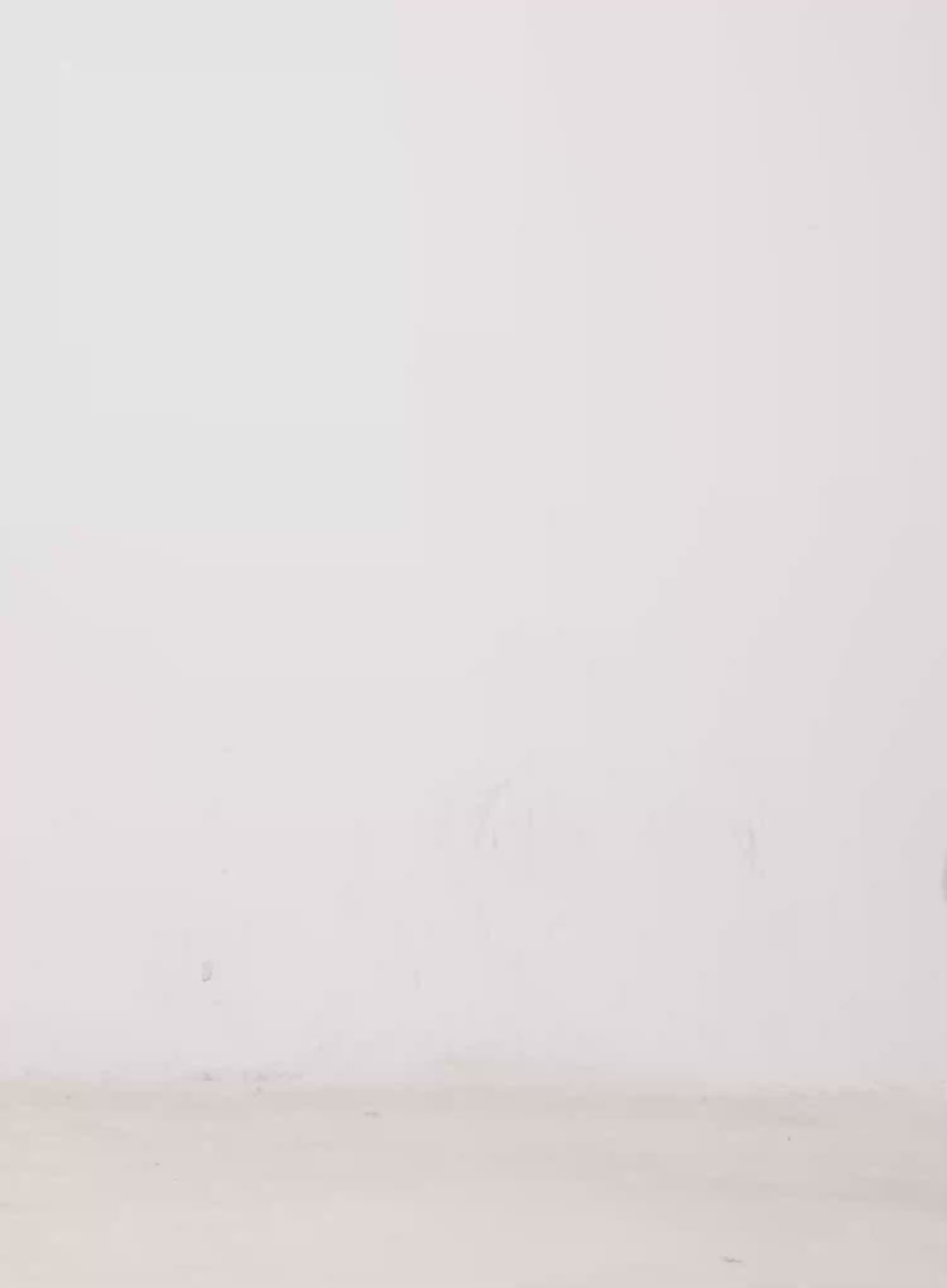 Low Rise Eyelet Shorts CO529