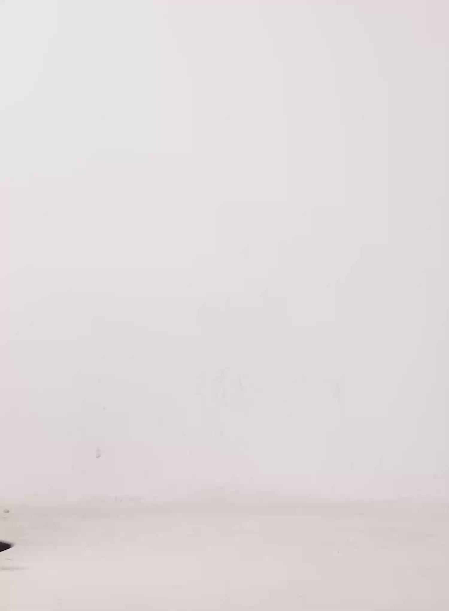 Pattern Hoop Earrings IJ509