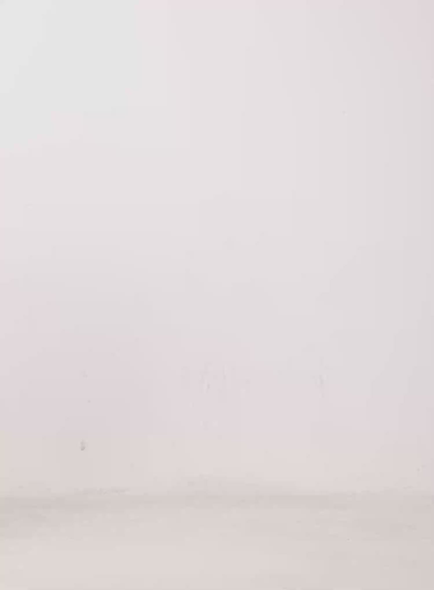 High Neck Zip Up Jacket IJ509