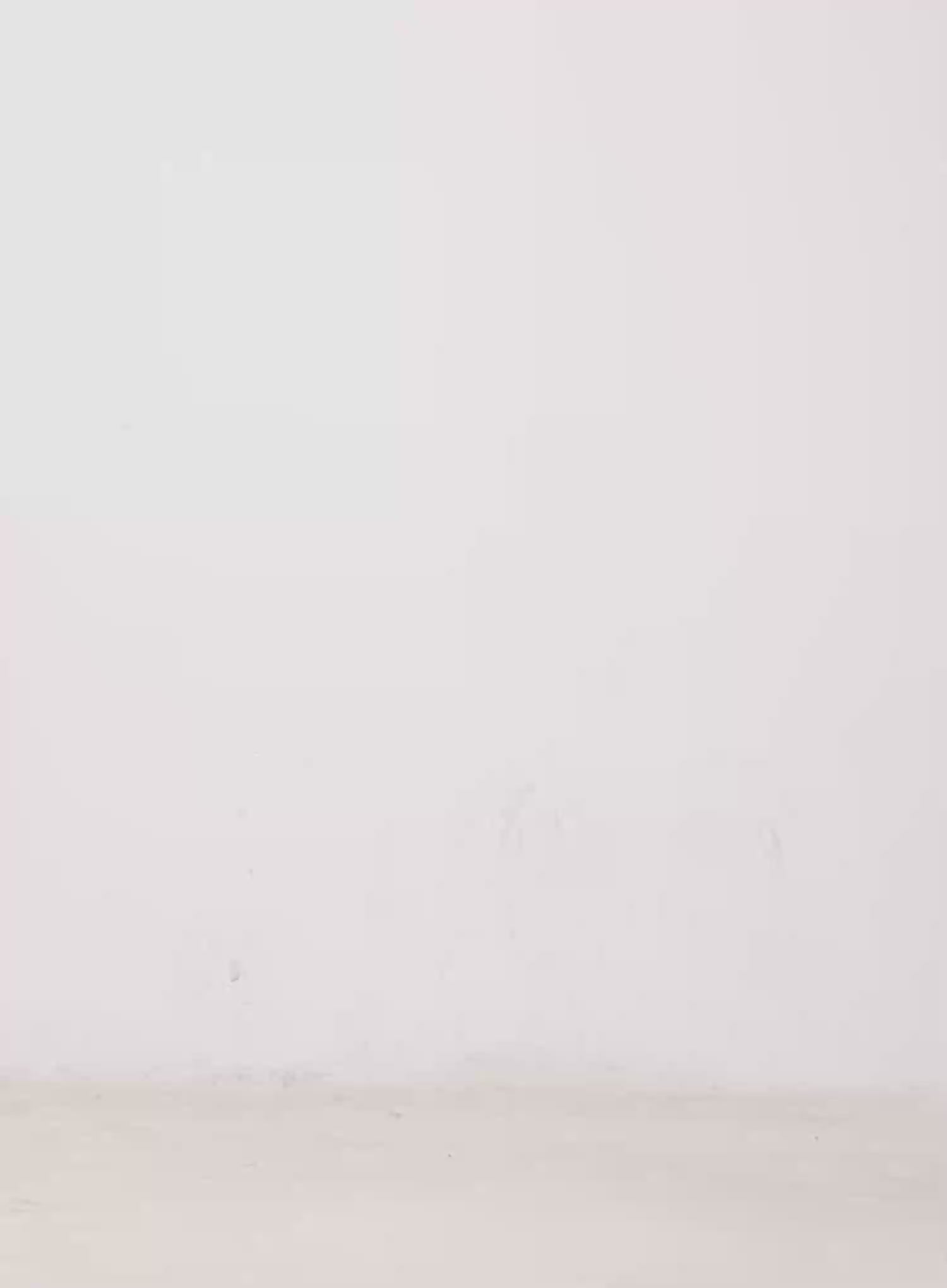 Cozy Cropped Hoodie CO529