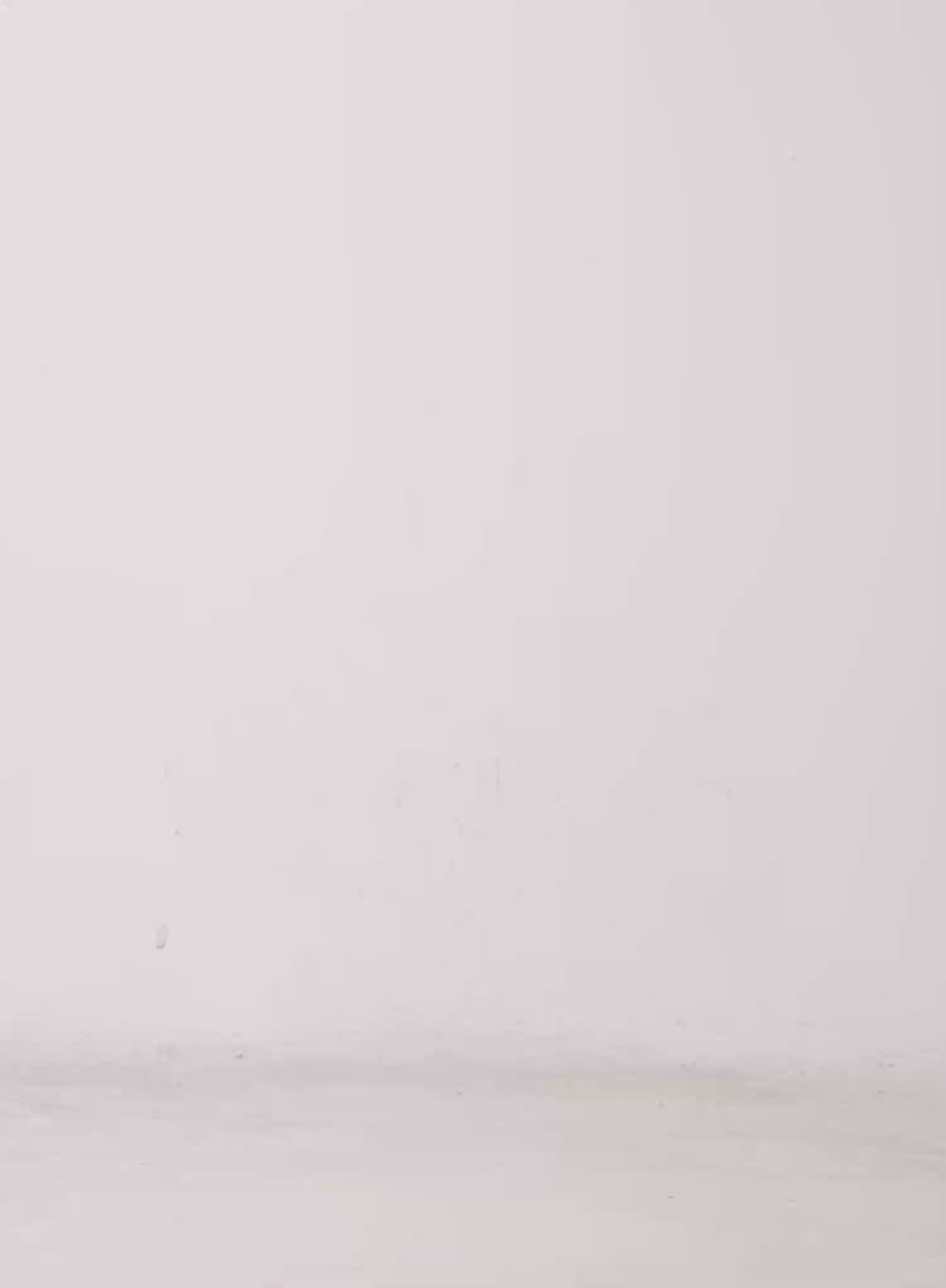 V-Neck Lace Cami Top CL510