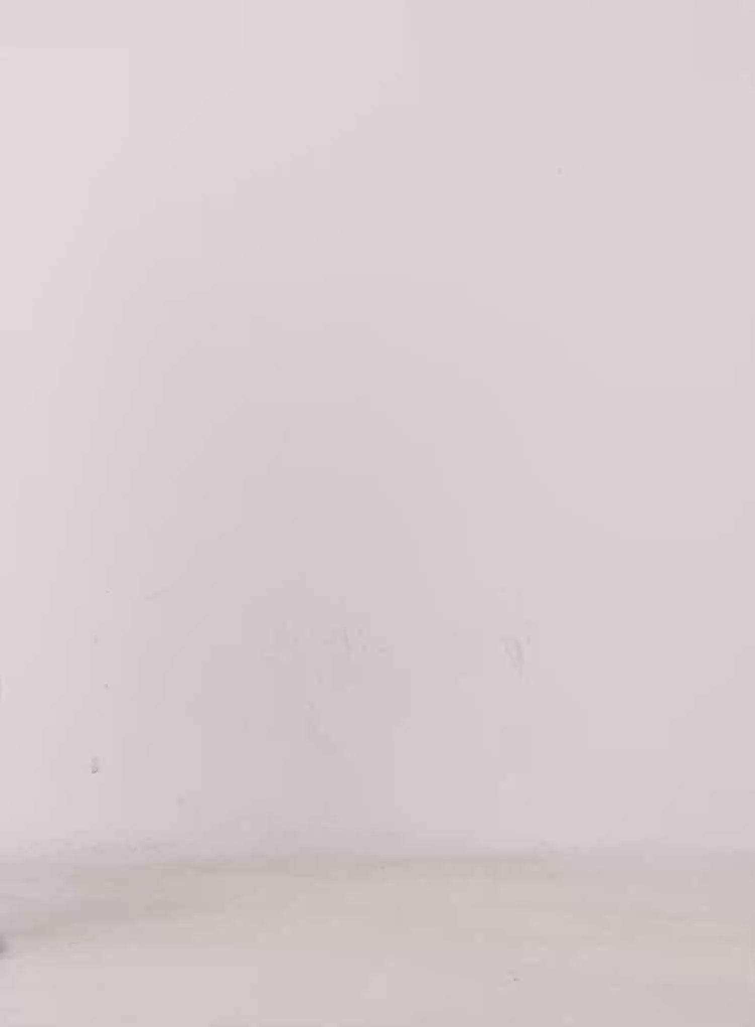 Amora Vintage Washed Wide-leg Jeans IO530