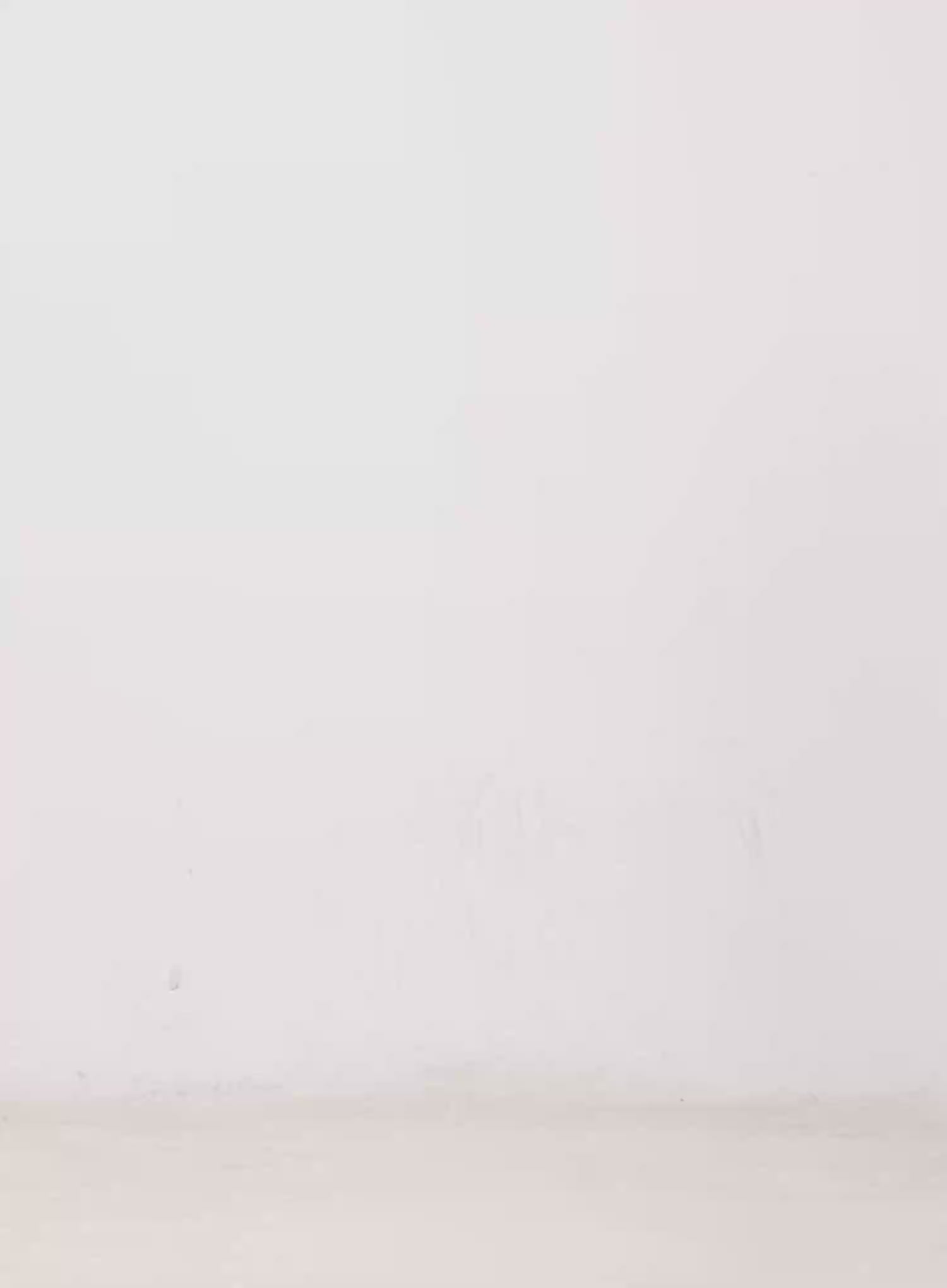 Stylish Suede Waist Pocket Belt IN514