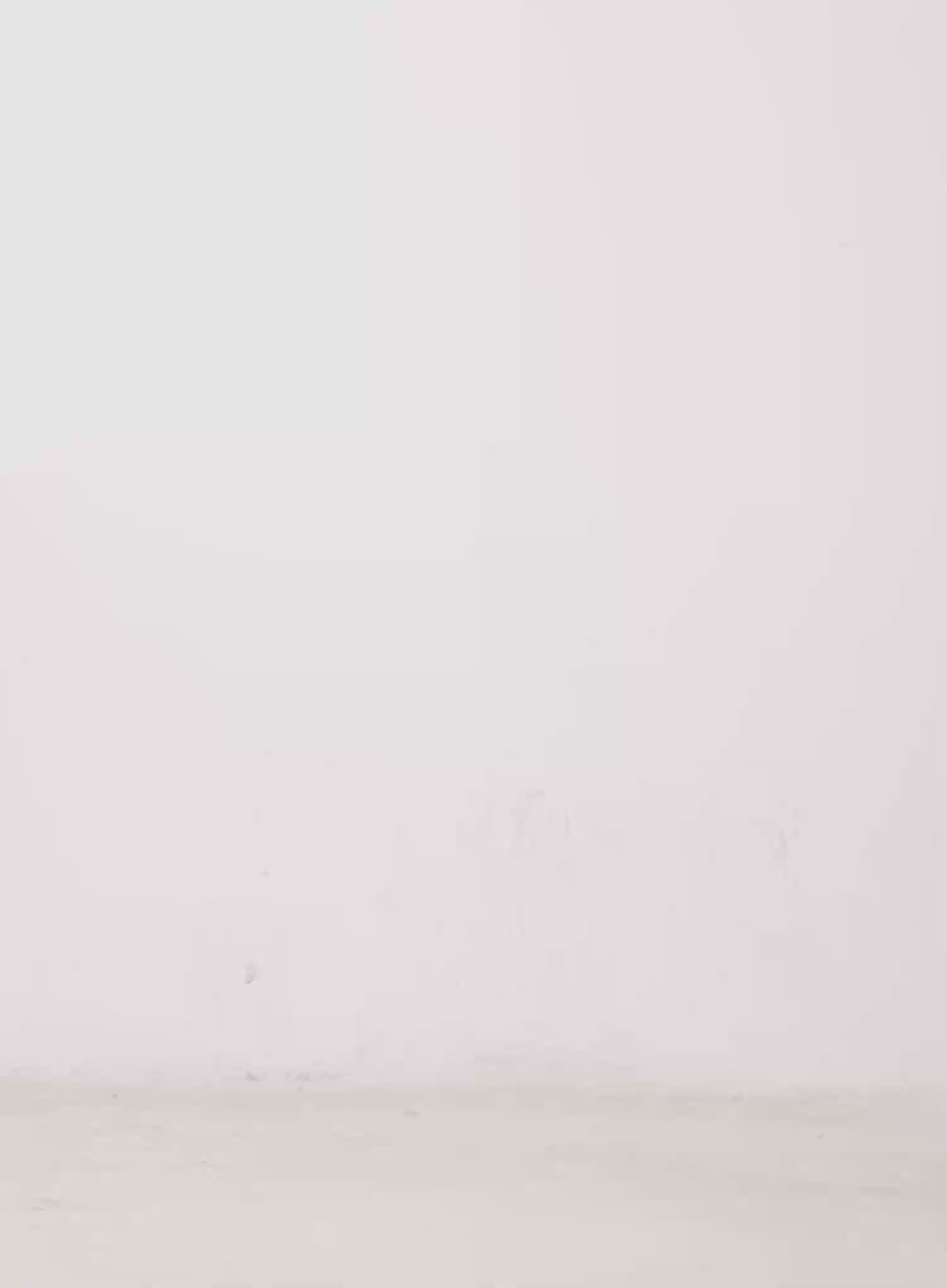 Low Rise Cargo Shorts CO529