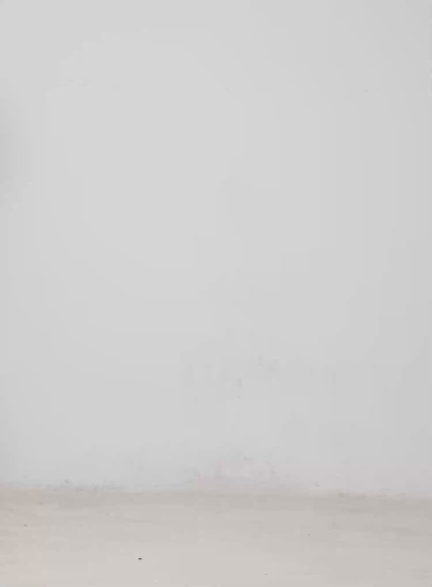 Vintage Floral Wide-Leg Pants CM526