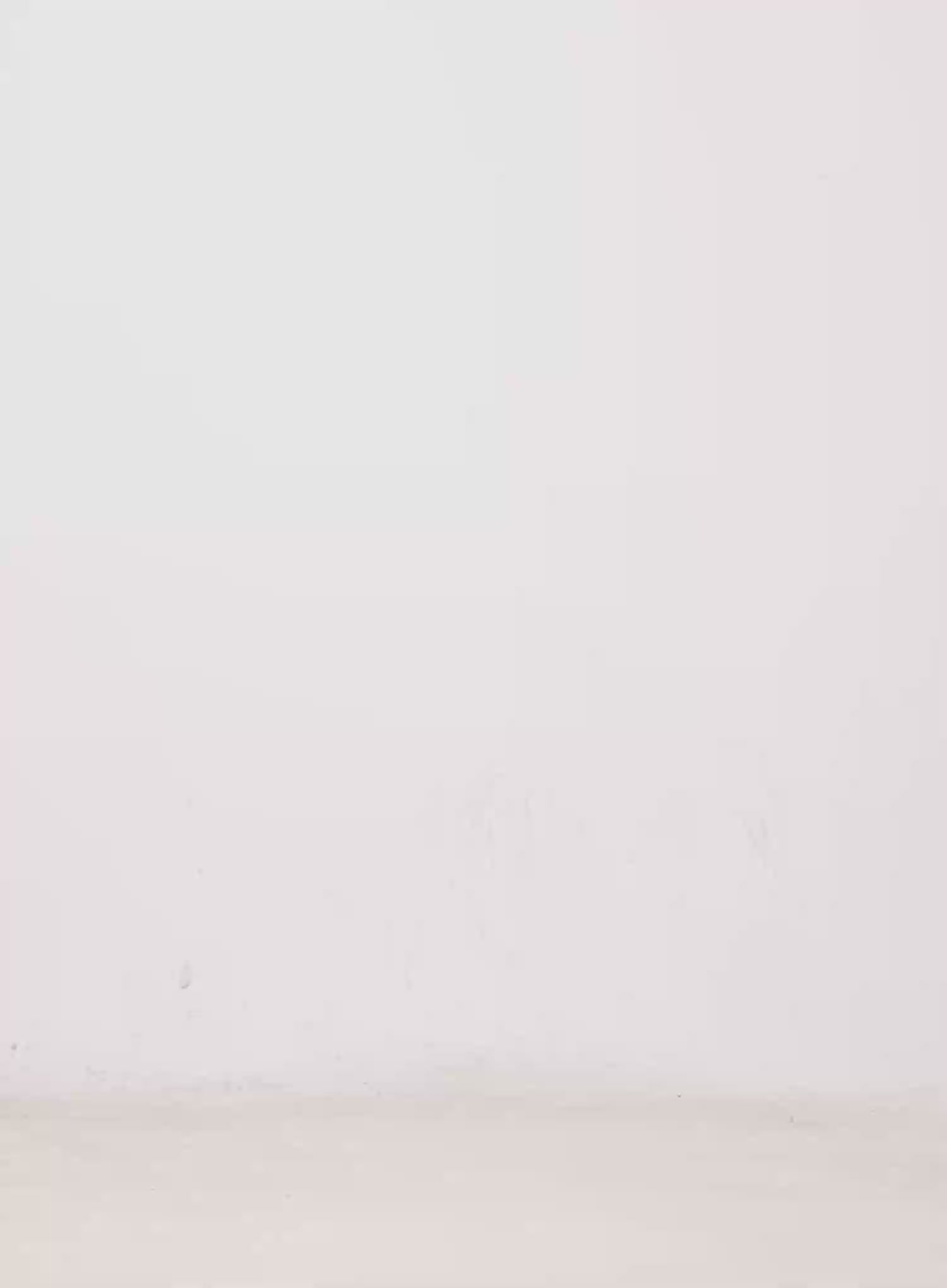 Vintage Studded Skinny Belt IN514