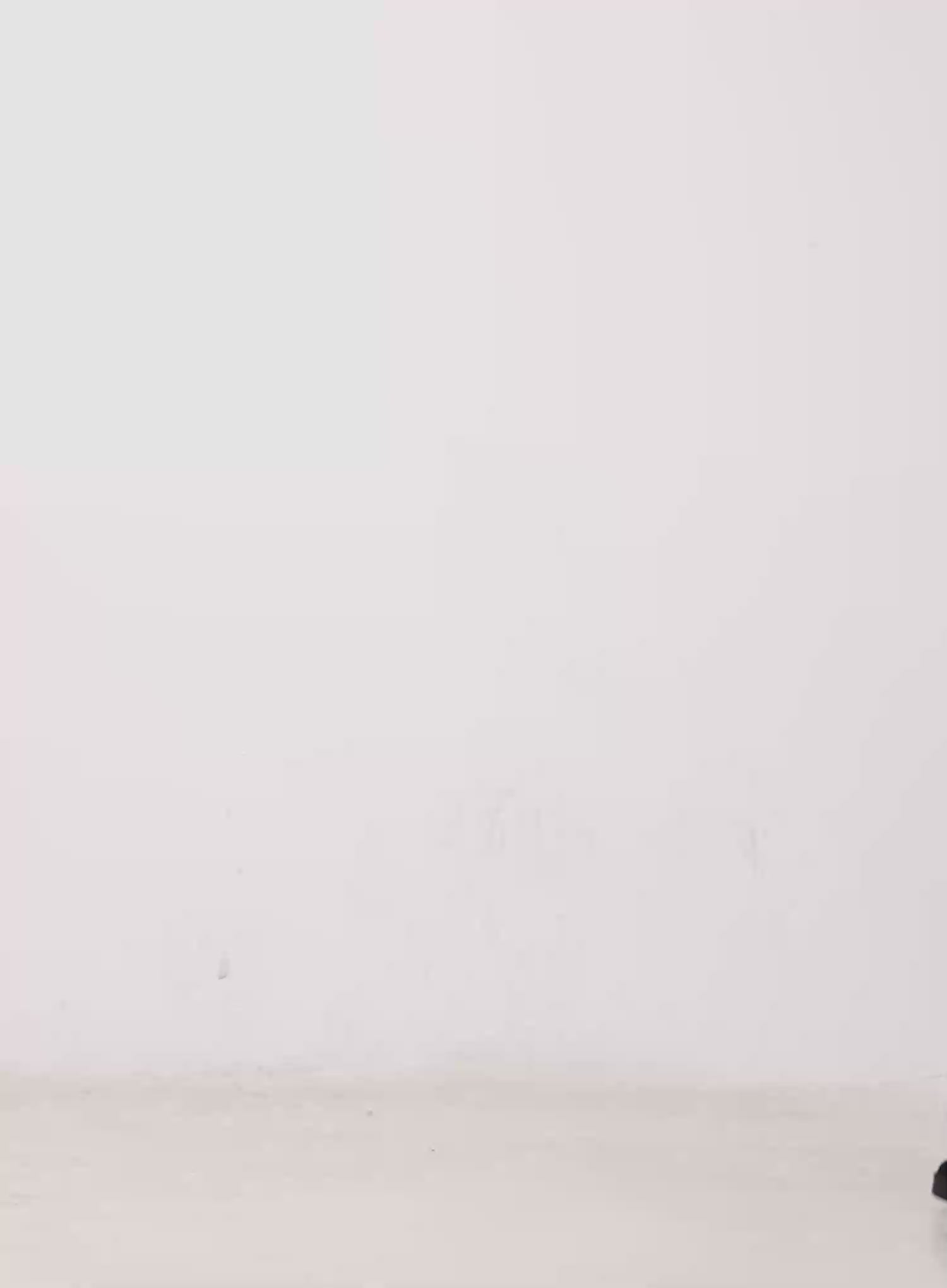 Oversized Faux Fur Collar Jacket CO528