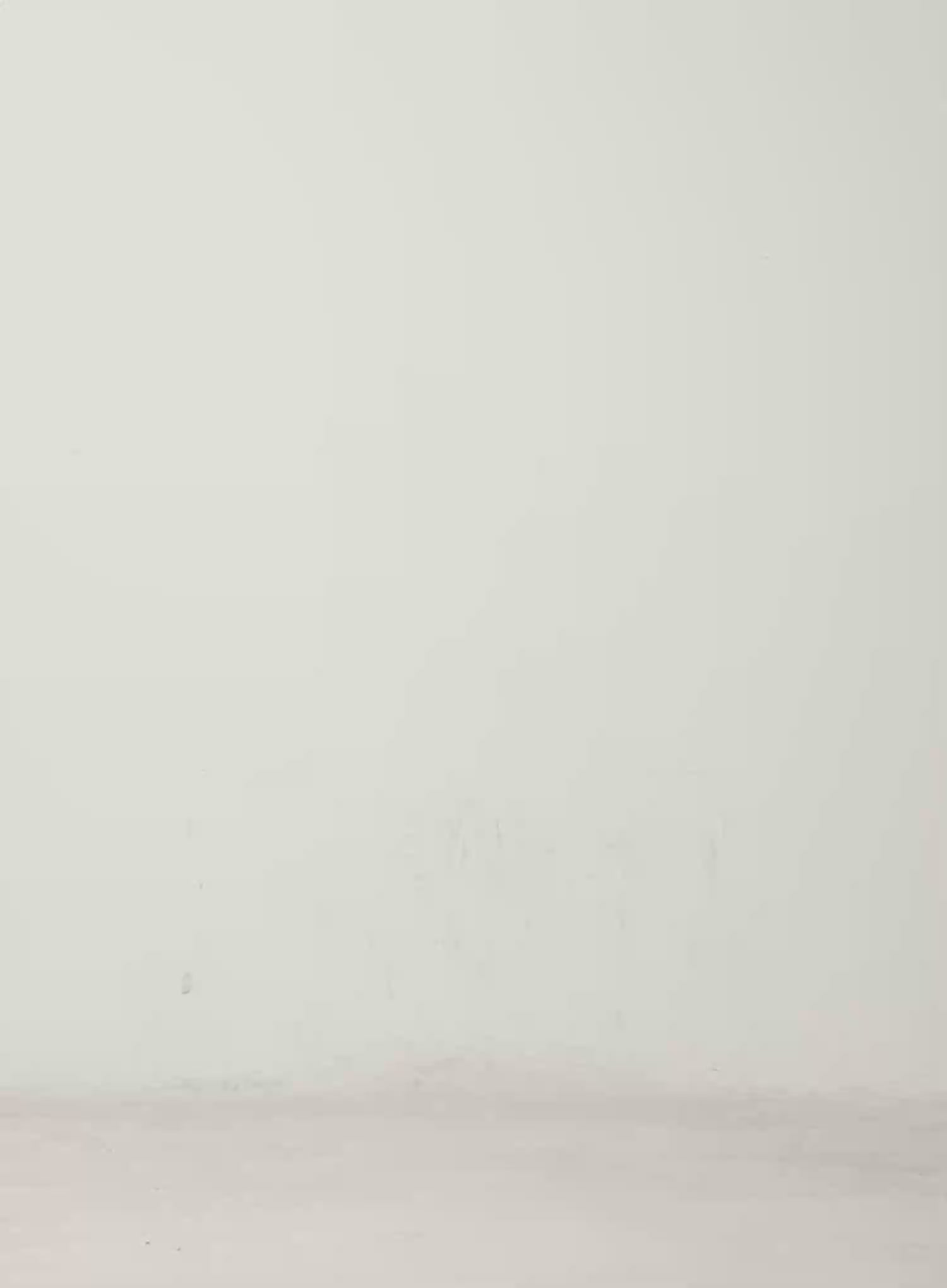 Zaria Embellished Wide Leg Jeans IN528