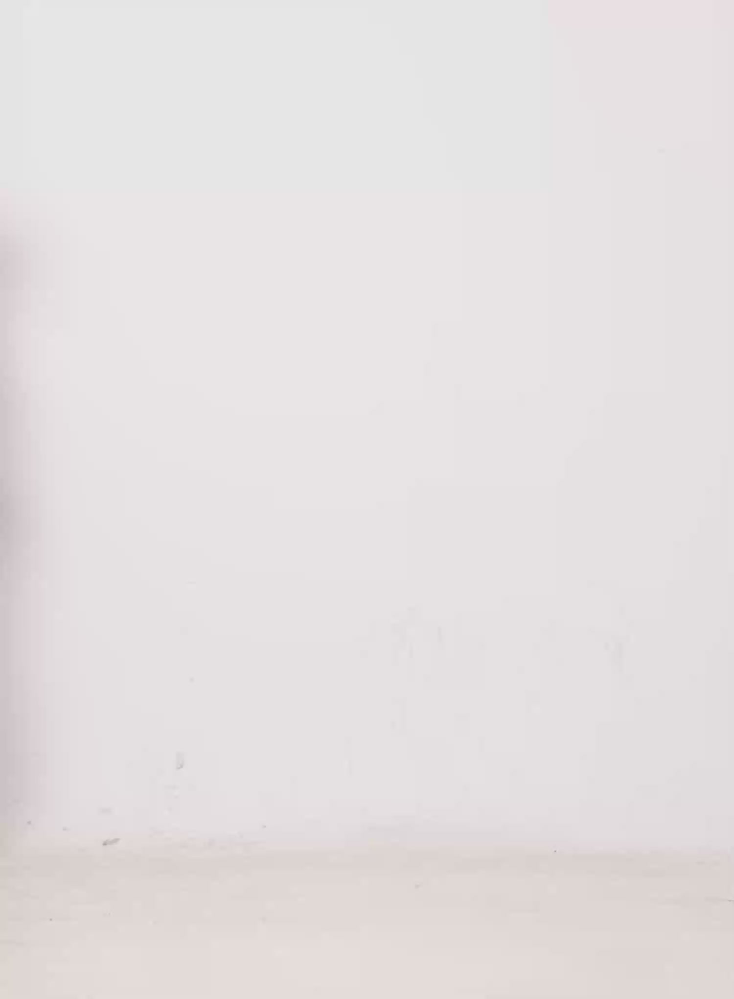 Seowon Black Cargo Low-Rise Bootcut Jeans IN514