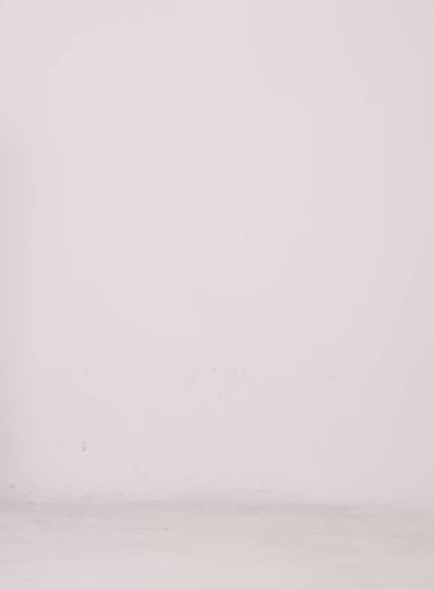 Polka Dot Ruffle Detail Shorts CL504