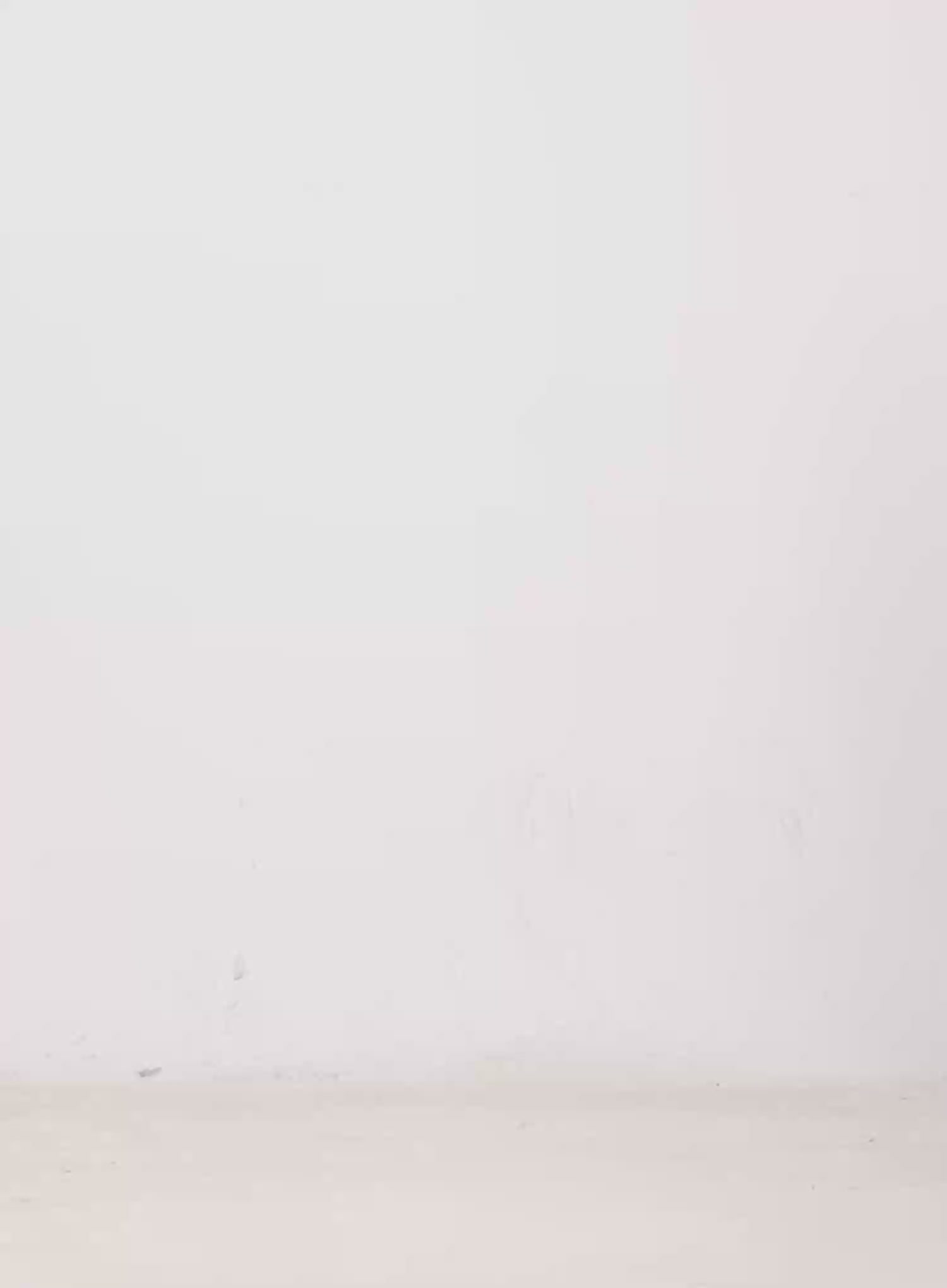 Leopard Print Fur Collar Bomber Jacket IN525