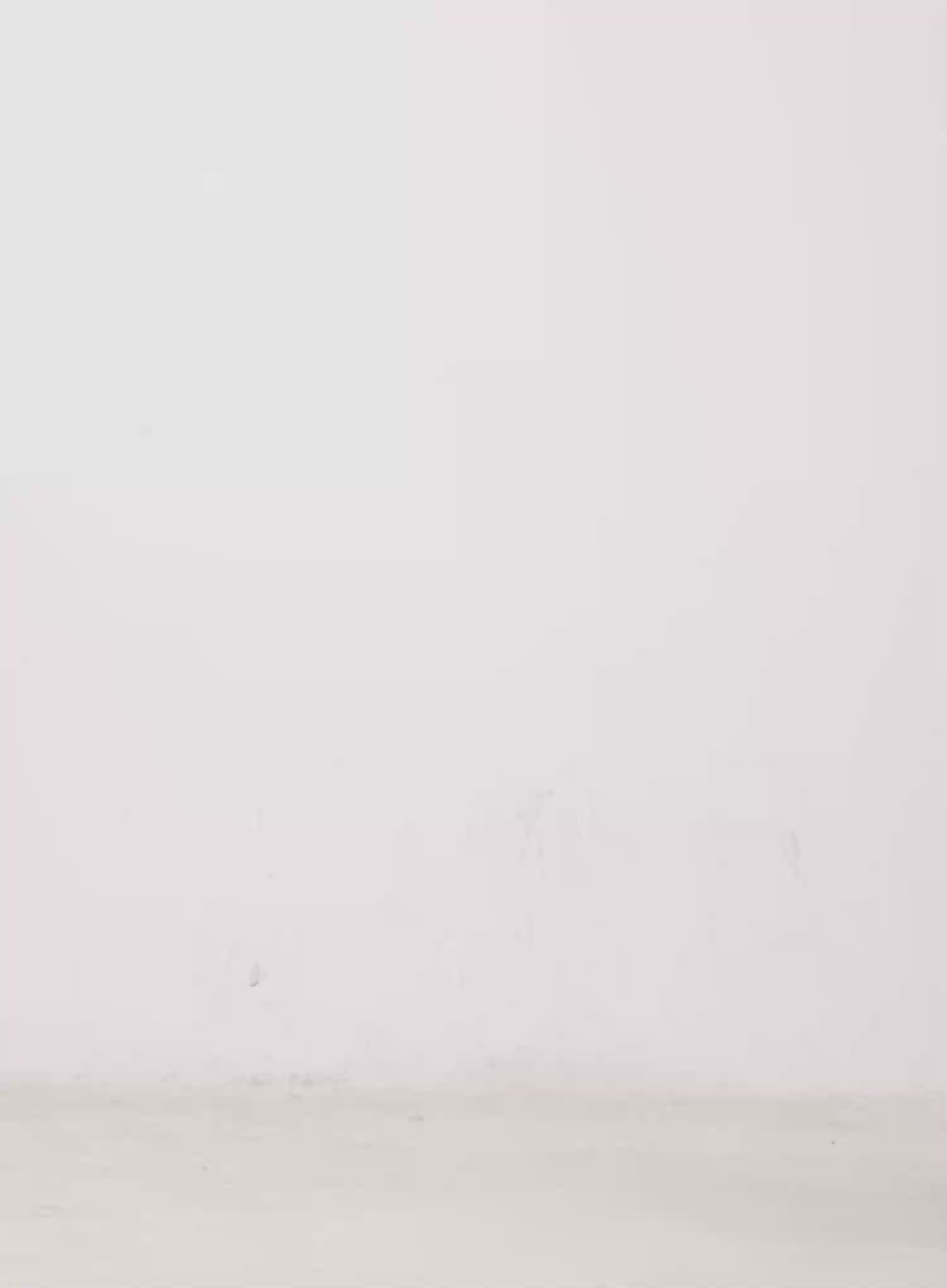 Flare Denim Maxi Skirt CO529