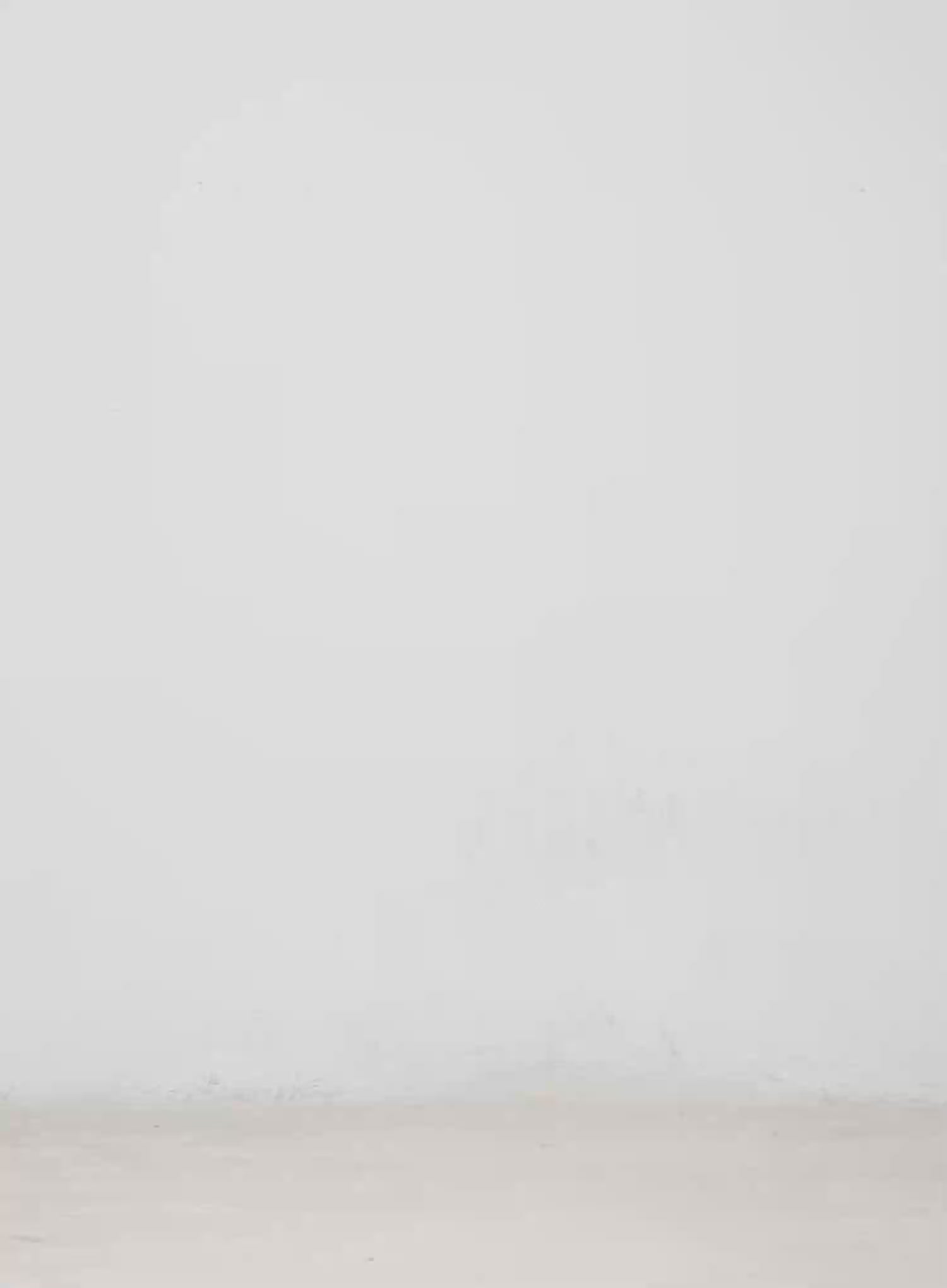 Carey Vintage Washed Bootcut Flared Jeans CM526