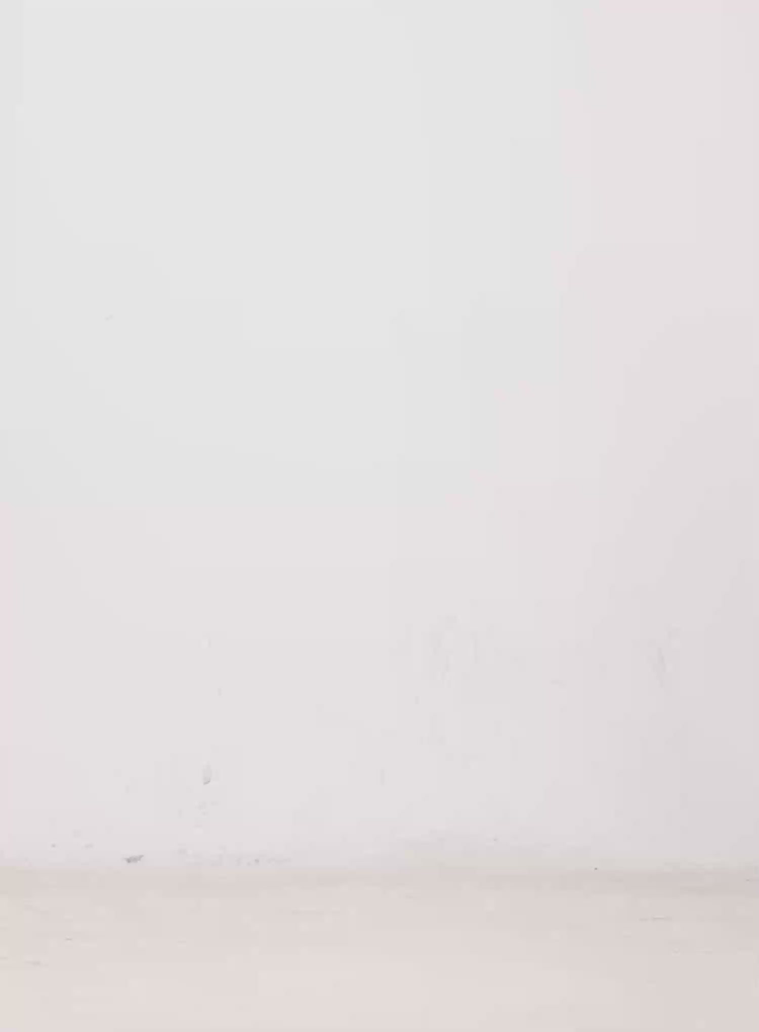 Alani Vintage Wash Wide-Leg Jeans IN525