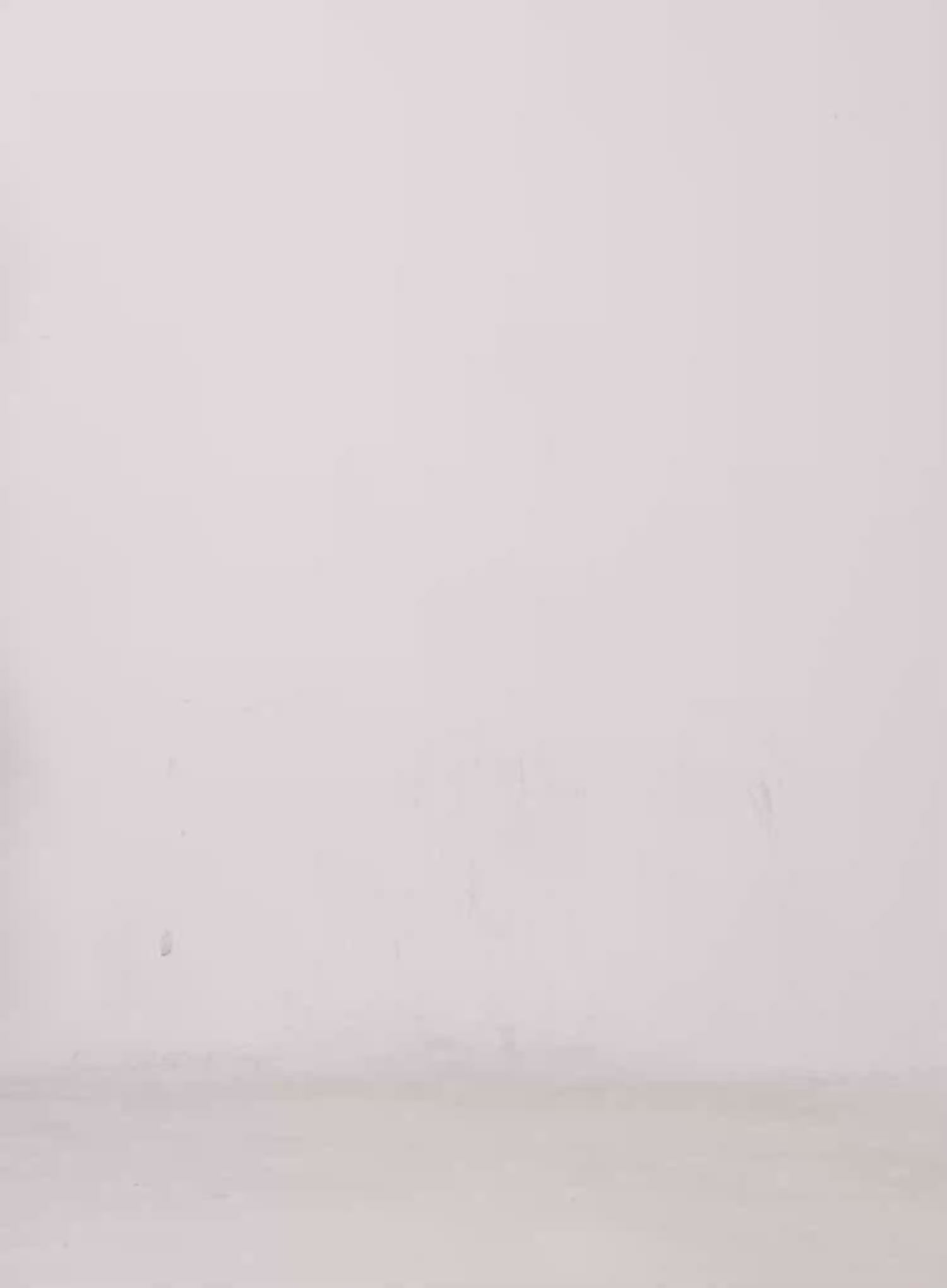 Lace Crop Tie Long Sleeve Top CS530