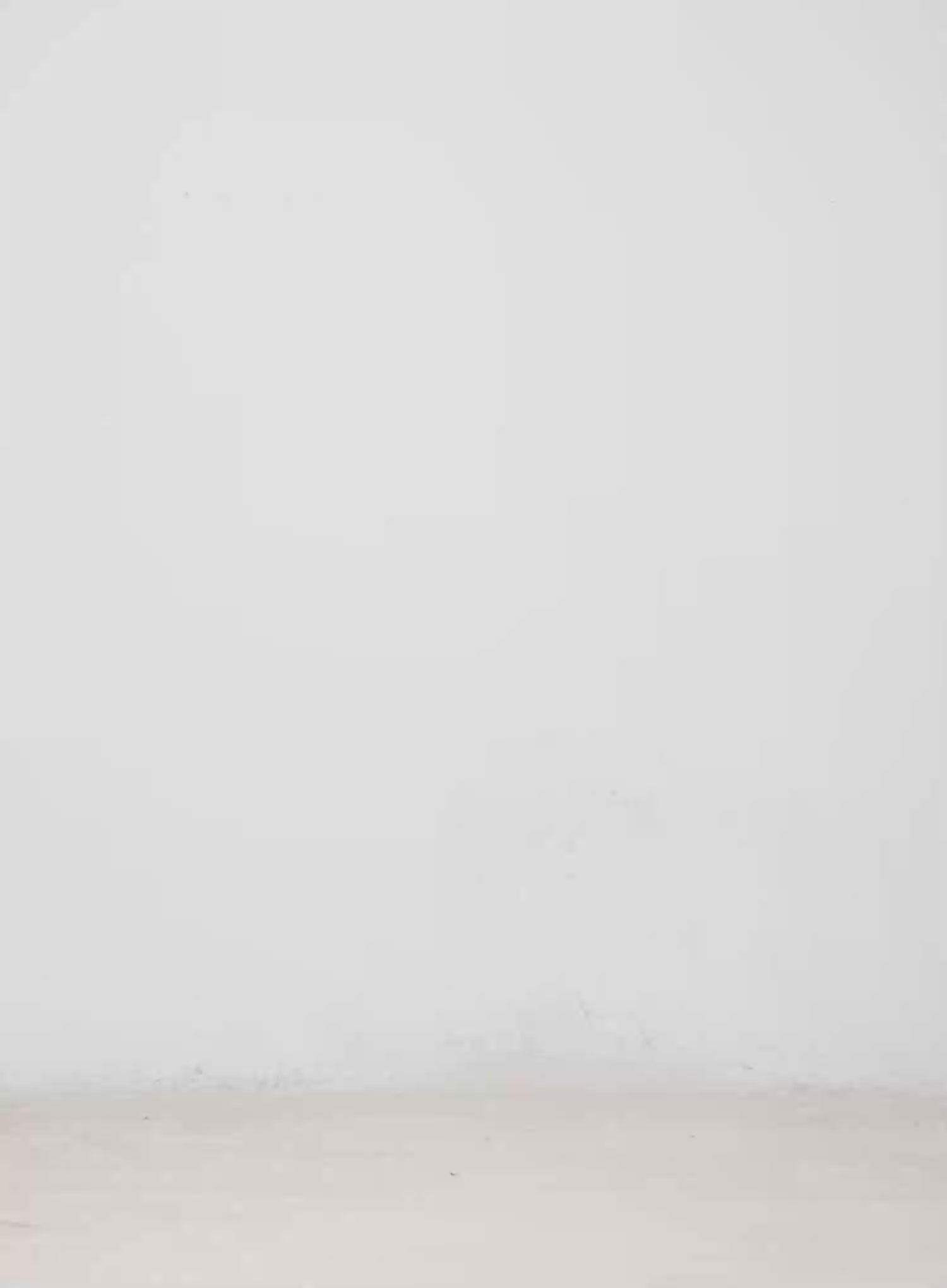 Casual Oversized Wide Leg Pants CM526