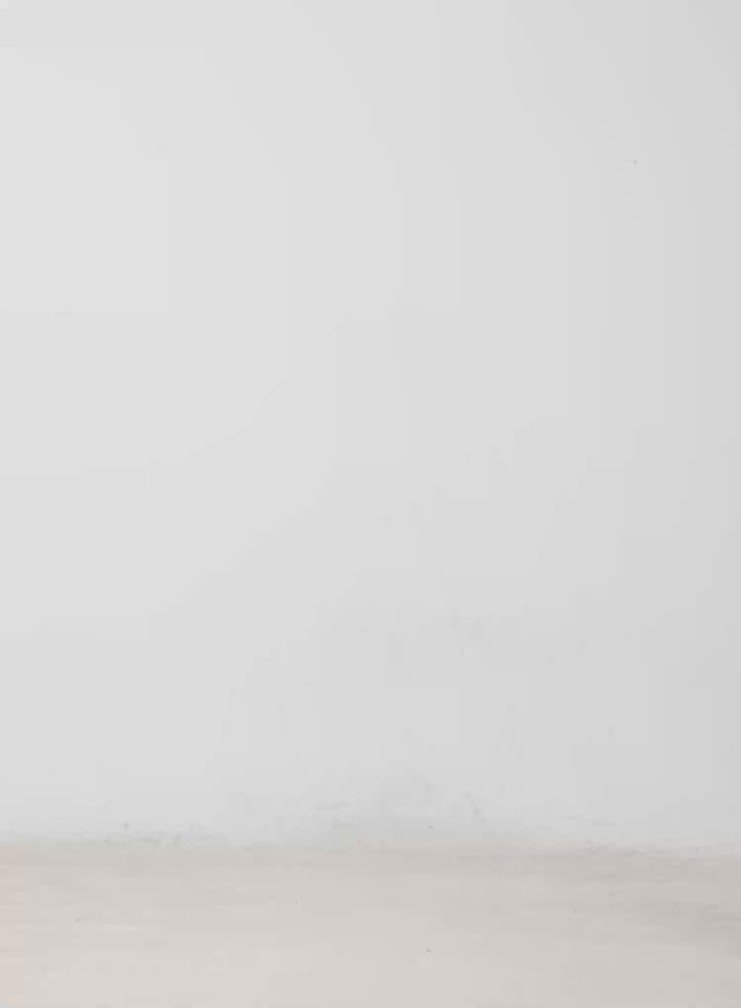 Vintage Leather Accent Shoulder Bag IM530