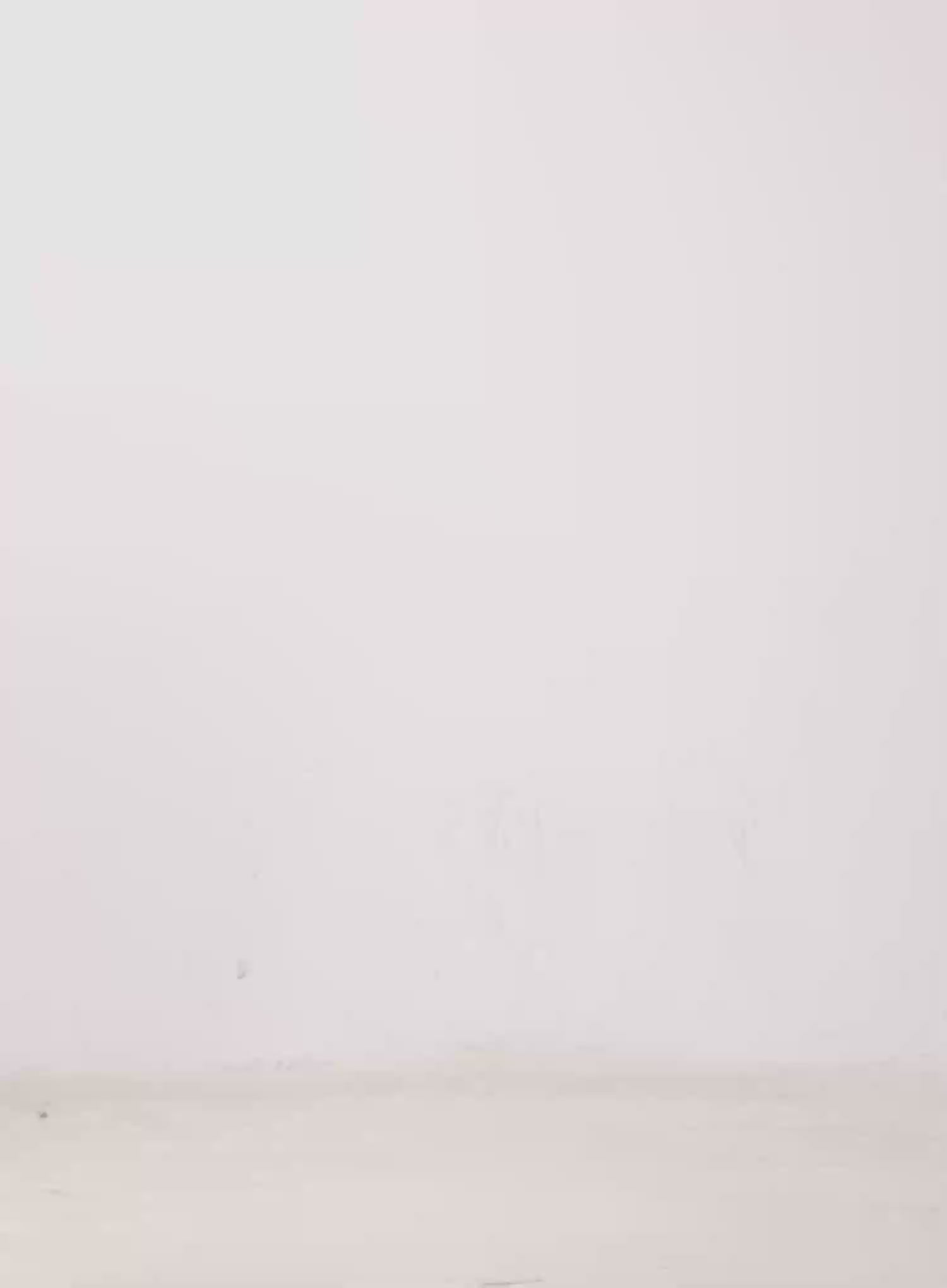 Jewel Slim Oval Fashion Sunglasses IJ508