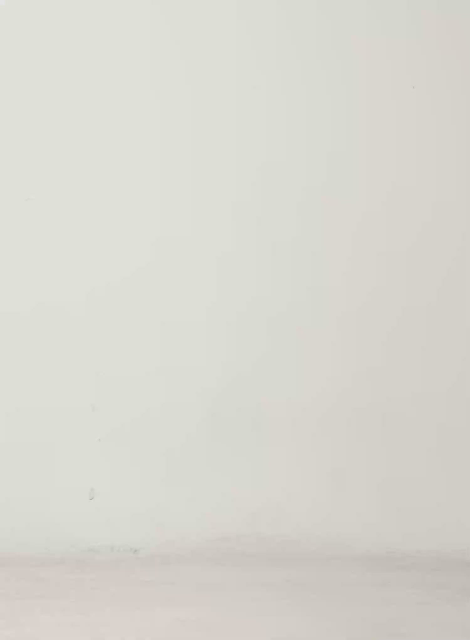 Soft Faux Fur Hooded Scarf CN527