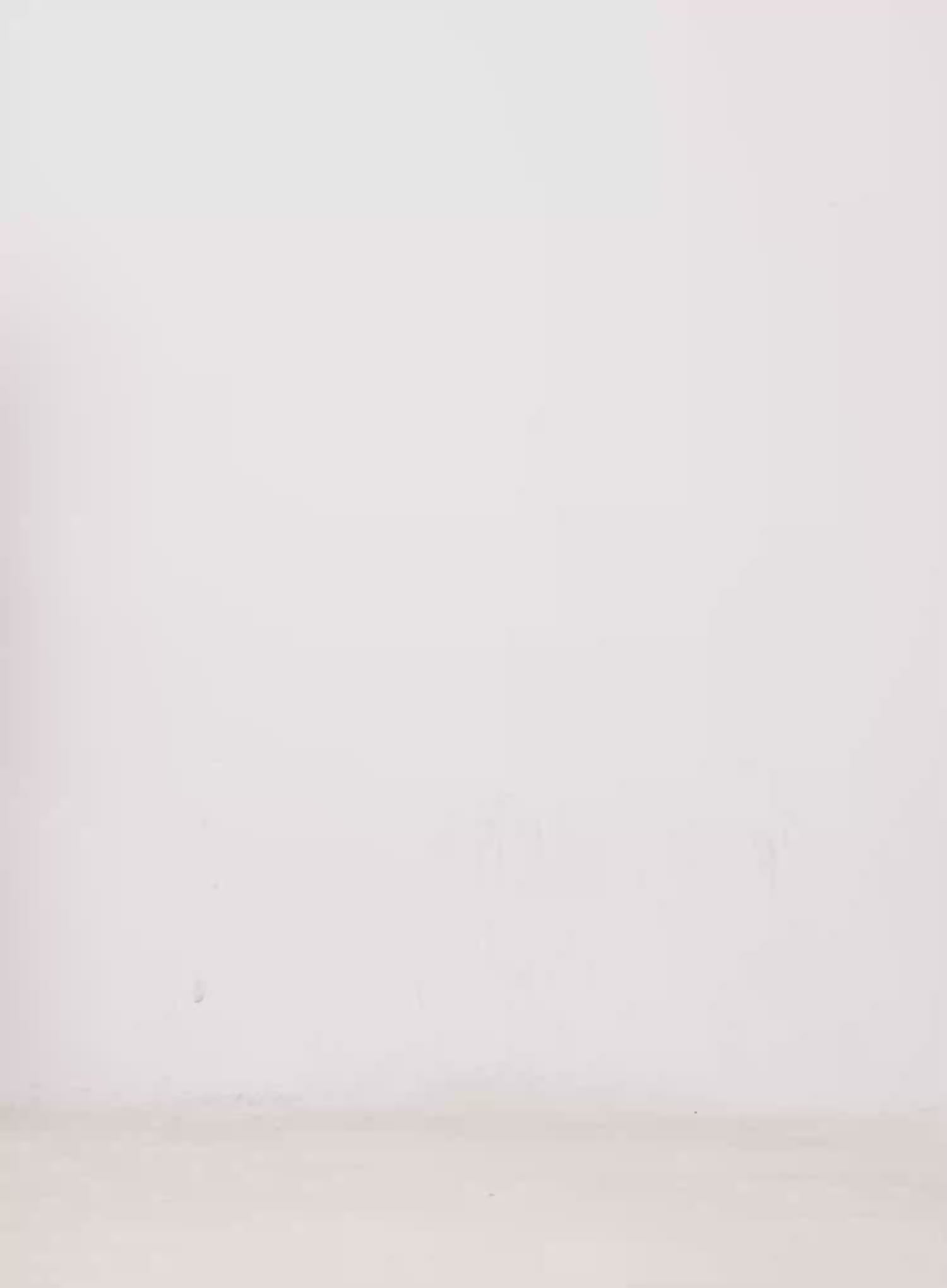 Ribbon Ruffle Skirt IN503