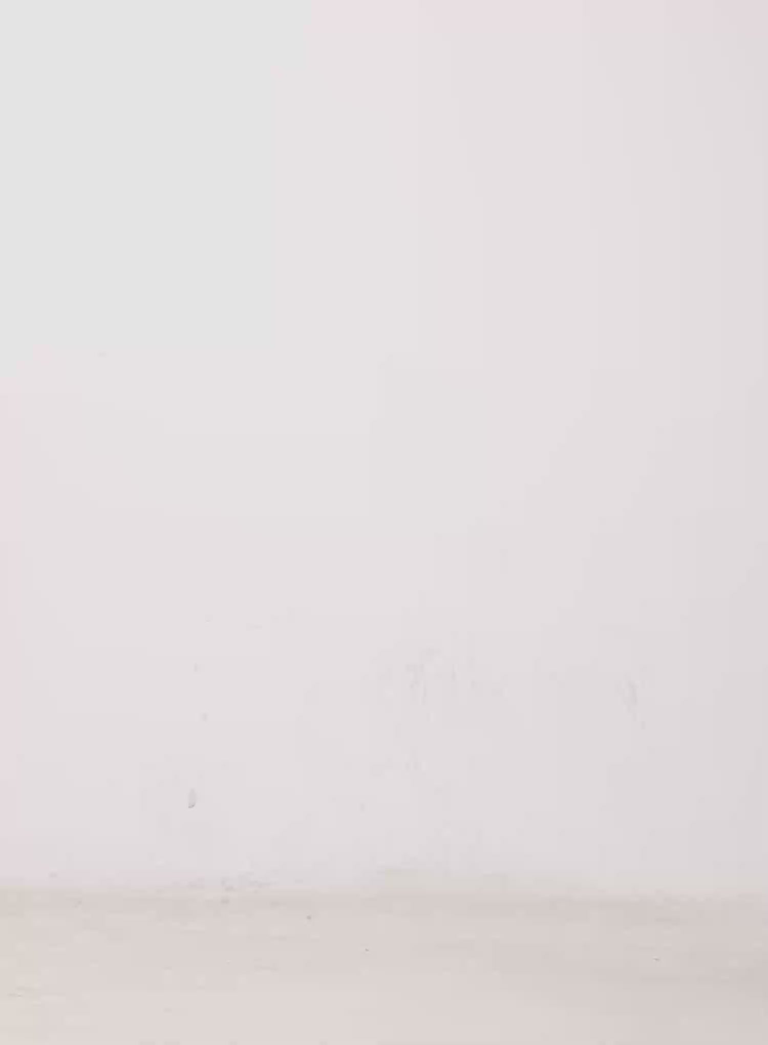 Oversized Fur Zip-Up Hoodie CO529