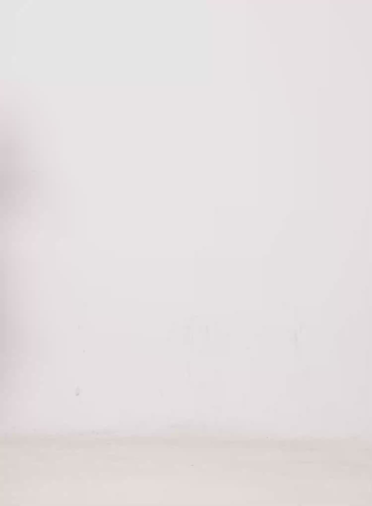 Two-Way Strap Camisole IN503