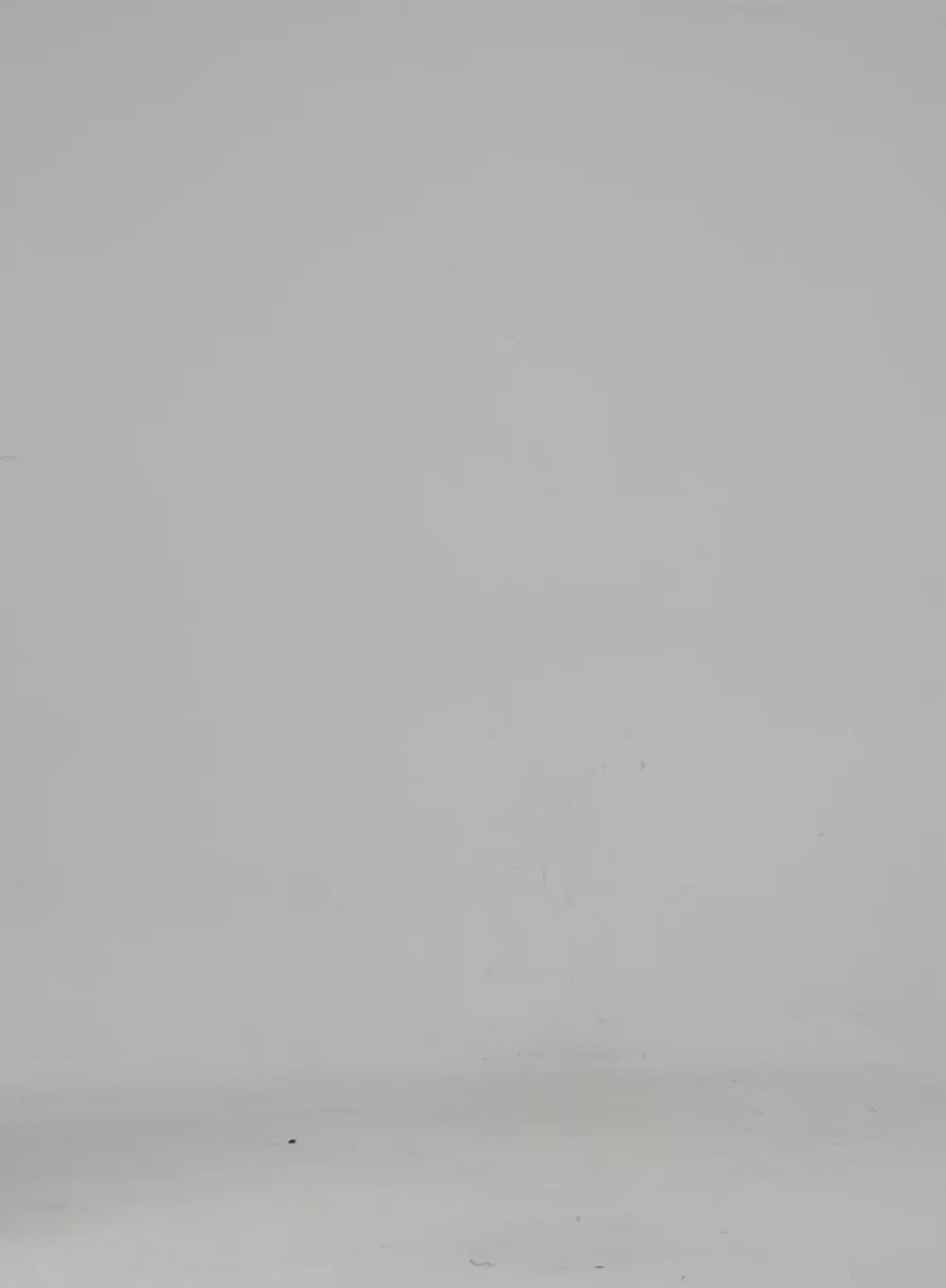 Square Neck Laced Corset Long Sleeve ID315